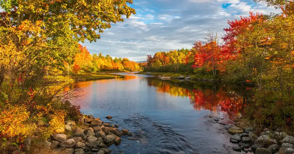 A gorgeous landscape of a stream reflecting the oranges and yellows of trees in autumn.