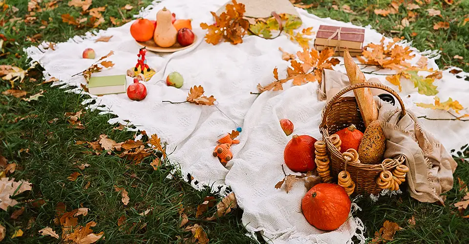 A picnic blanket spread out on grass, with fall leaves and vegetables spread out.