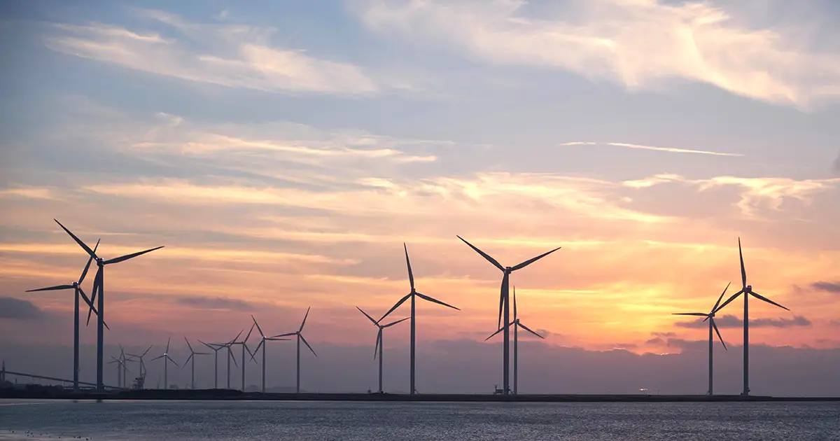 A windmill farm providing 25% of the power in Texas