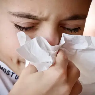 A young boy blows his nose as he suffers from allergies.