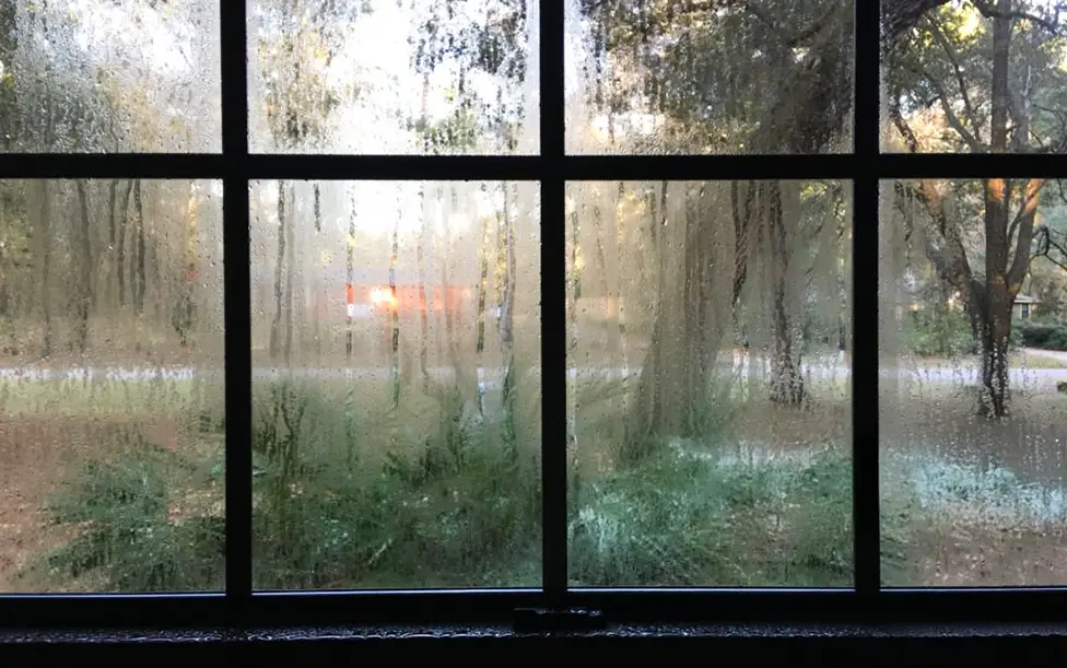 A window with heavy condensation from indoor humidity.