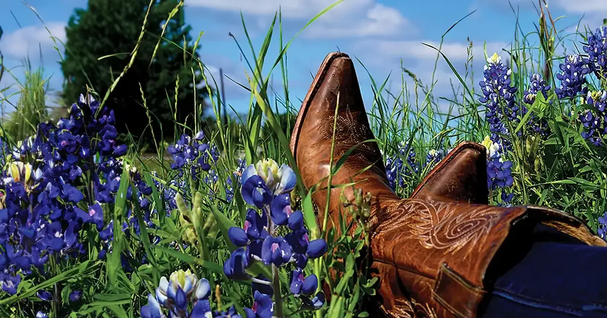 A woman in cowboy boots enjoys the Texas Blue Bonnets!