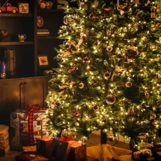 A beautiful Christmas tree decorated for the holidays.